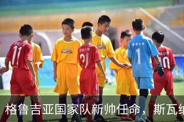 格鲁吉亚国家队新帅任命，斯瓦纳泽接棒
